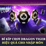 Bí Kíp Chơi Dragon Tiger Hiệu Quả Cho Nhập Môn 6 Bi Kip Choi Dragon Tiger Hieu Qua Cho Nhap Mon Img