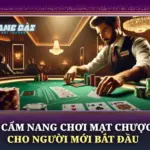 Cẩm Nang Chơi Mạt Chược (Mahjong) Cho Người Mới Bắt Đầu 6 Cam Nang Choi Mat Chuoc Cho Nguoi Moi Bat Dau Img